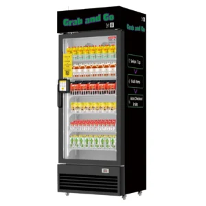 Grab n Go Smart medium size cooler model VT500